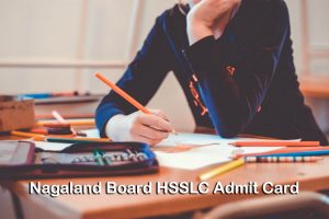 Nagaland Board HSSLC Admit Card